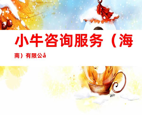 小牛咨询服务（海南）有限公司
